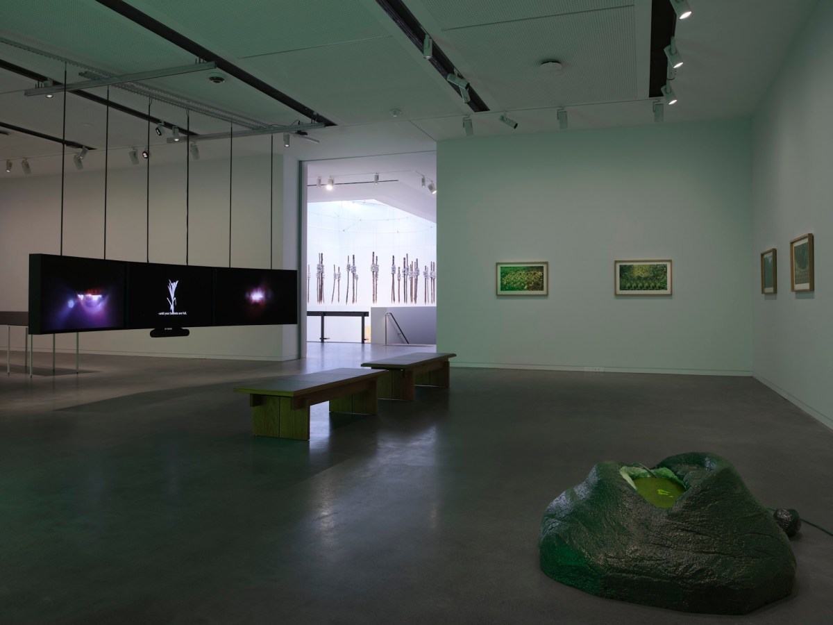 Installation view, Tiyan Baker: Mouth Mnemonica, Newcastle Art Gallery, 2026. Photo: Matt Carbone. Courtesy: the artist.