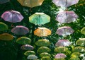 Photo: KT Francis / Unsplash.