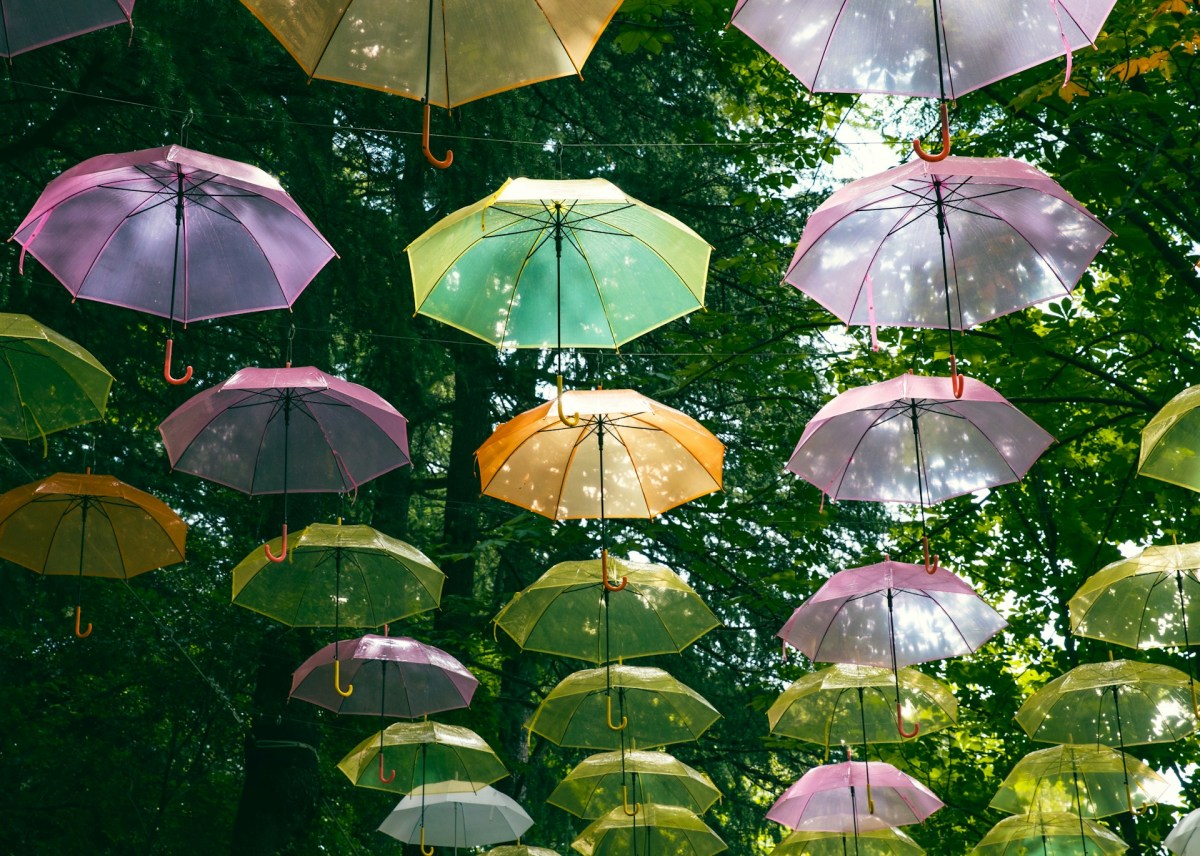 Photo: KT Francis / Unsplash.