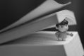 Photo: srinivas bandari on Unsplash.