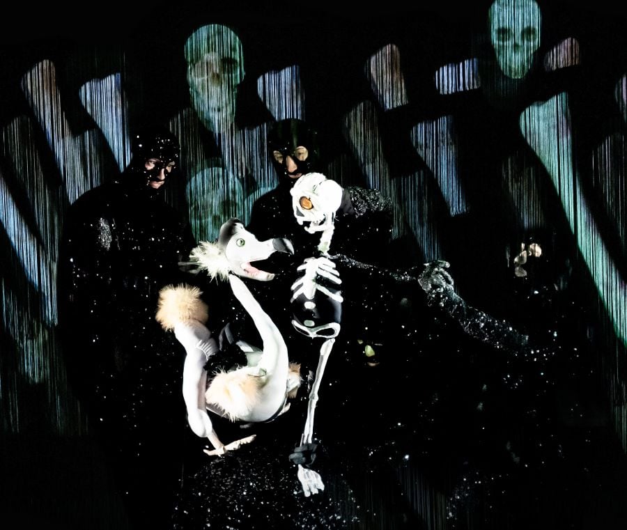Wakka Wakka’s Dead as a Dodo has been programmed at Brisbane Festival 2026. The photo depicts two puppets, a ghostly dodo and a small human skeleton. Their puppeteers, dressed in black and wearing black balaclavas, are faintly visible behind them.