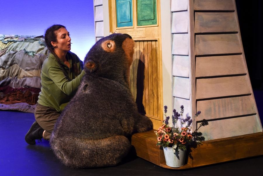 Monkey Baa Theatre Company's Diary of a Wombat, adapted from the book by Jackie French. A large and adorable wombat puppet looks up wistfully at a closed door; its puppeteer, a brown-skinned woman with plaited dark hair, crouches behind it.