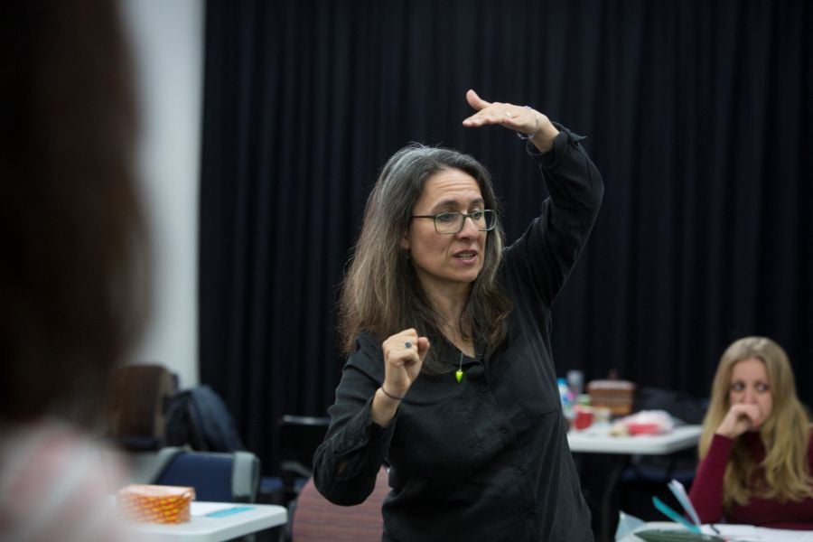 Eva Di Cesare in the Monkey Baa rehearsal room. A fair-skinned woman of Italian heritage with long, dark, greying hair and wearing glasses and a long-sleeved black shirt. She gestures with her hands as she directs a scene.