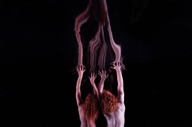 Dancenorth's RED was one of many works presented in Melbourne as part of the Australian Dance Biennale. Image: Supplied.