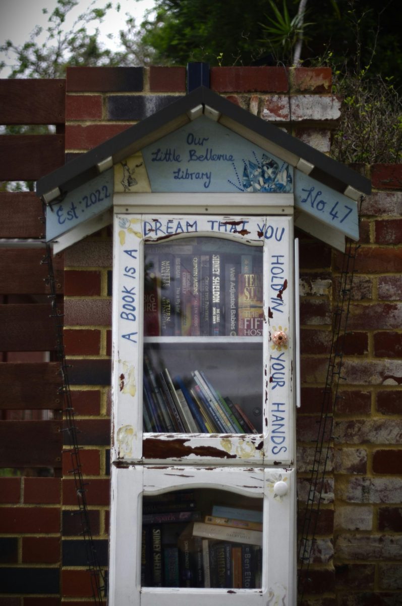 A national reading campaign would be welcome in Australia. Photo: Iain on Unsplash.