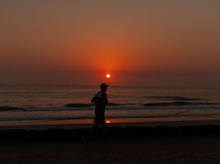 An atmospheric photo of a person running along the beach at sunset, with the sun low in the sky on the horizon. arts sector appointments
