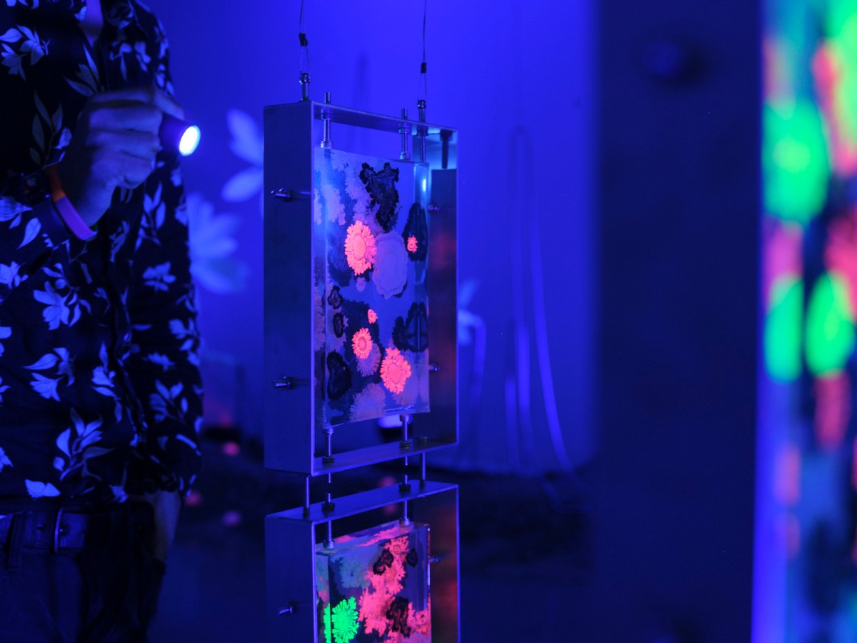Wona Bae and Charlie Lawler: Primary Succession, Walker Street Gallery and Arts Centre, 2026. Images courtesy of Greater Dandenong City Council. Photo: Lucy Foster.