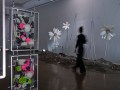 Wona Bae and Charlie Lawler: Primary Succession, Walker Street Gallery and Arts Centre, 2026. Images courtesy of Greater Dandenong City Council. Photo: Lucy Foster.