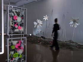 Wona Bae and Charlie Lawler: Primary Succession, Walker Street Gallery and Arts Centre, 2026. Images courtesy of Greater Dandenong City Council. Photo: Lucy Foster.