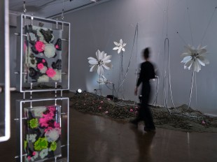 Wona Bae and Charlie Lawler: Primary Succession, Walker Street Gallery and Arts Centre, 2026. Images courtesy of Greater Dandenong City Council. Photo: Lucy Foster.