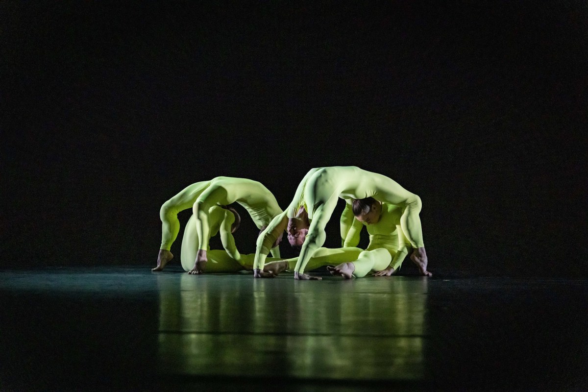 Brog by Amber McCartney, presented in Australasian Dance Collective's Three. Photo: David Kelly.