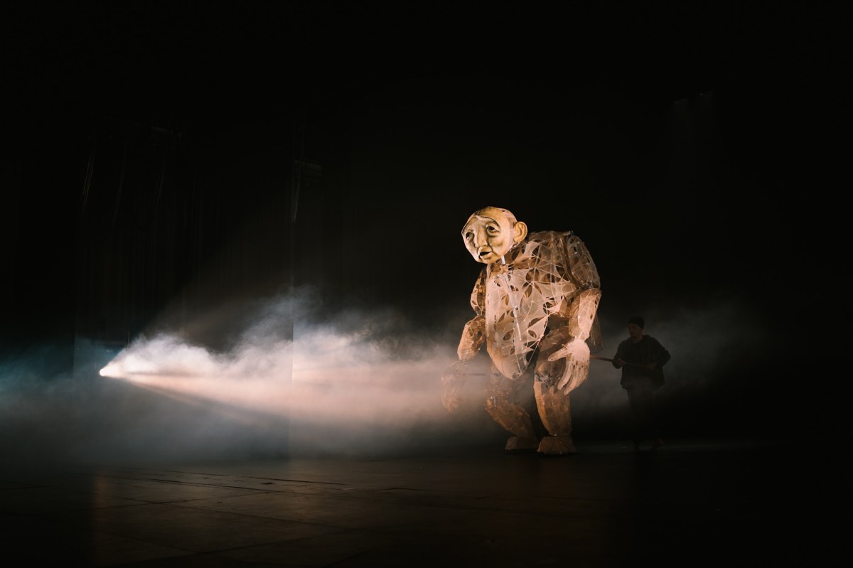 tream of Memory by Papermoon Puppet Theatre. Photo: Rangga Yudhistira.