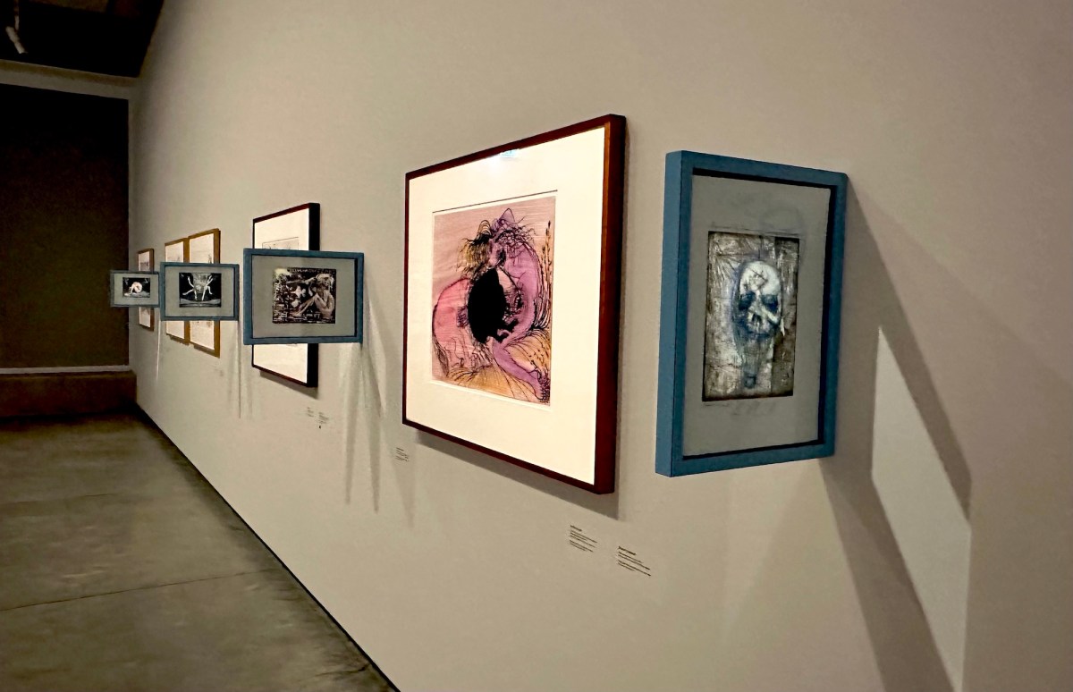 Installation view, Man on Fire: Visions of Nebuchadnezzar, Bundanon Art Museum, July 2026. Photo: Gina Fairley.