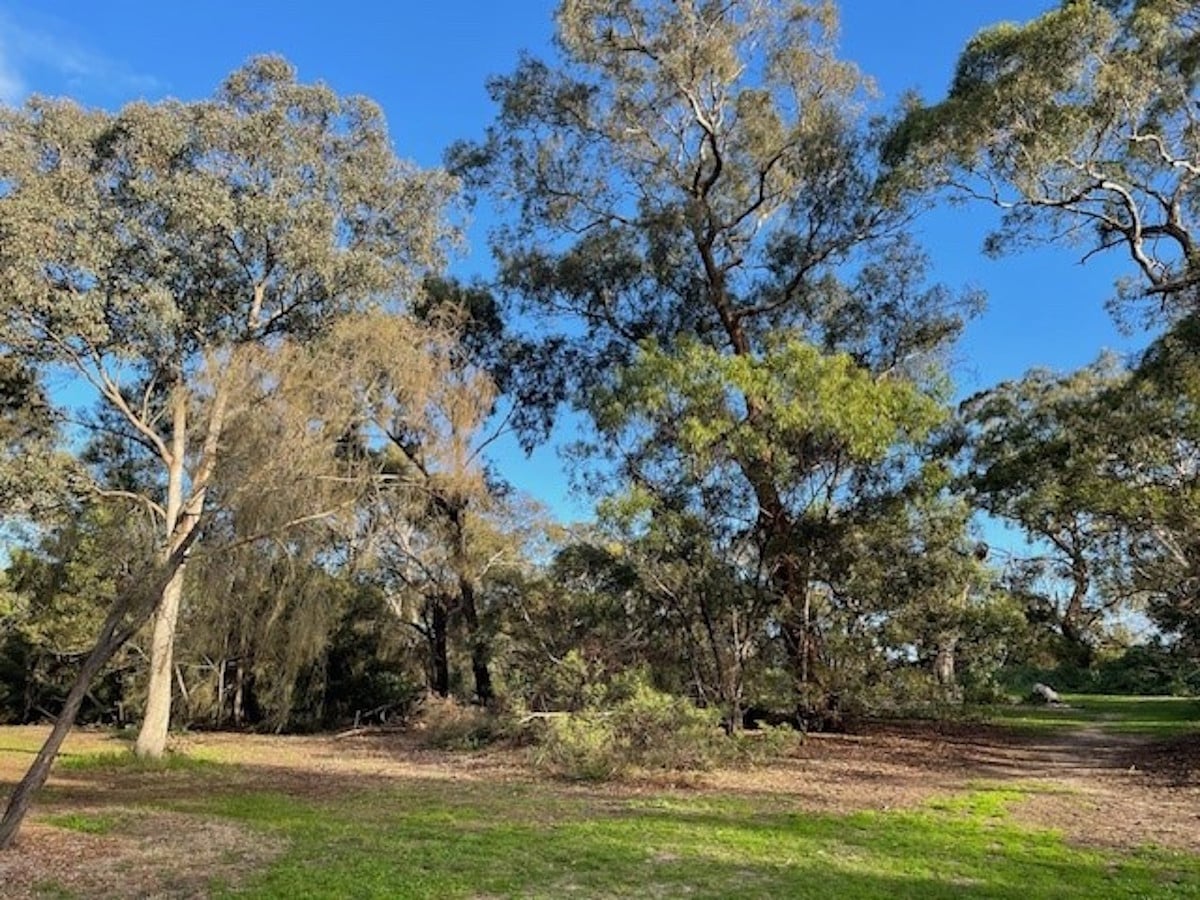 Napier Park in the City of Moonee Valley. Photo: Supplied.