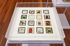 Magic lantern slides from the University of Melbourne's Burnley archives. On display in The Measured Garden at the Potter Museum of Art until 5 September, 2026. Photo: Christian Capurro.