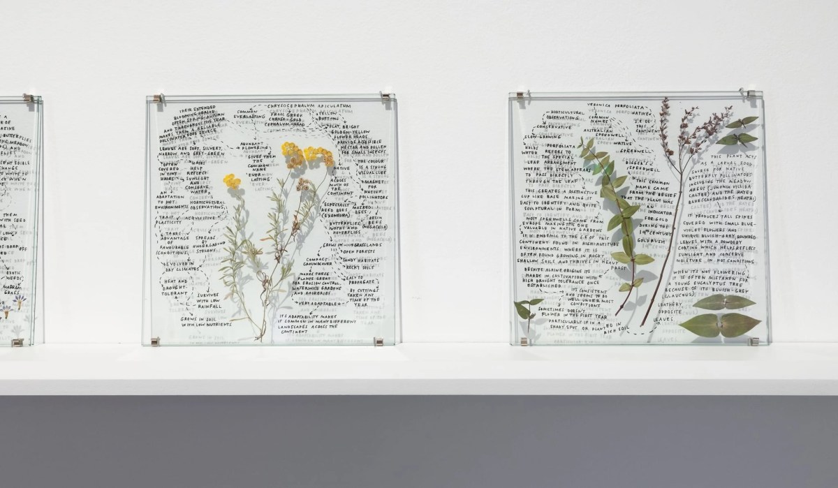 Installation view of Keg de Souza's Garden of Strategies, 2026, on display in The Measured Garden at the Potter Museum of Art until 5 September, 2026. Photo: Christian Capurro.