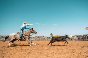 Photo: Xavier McLaren / Unsplash.