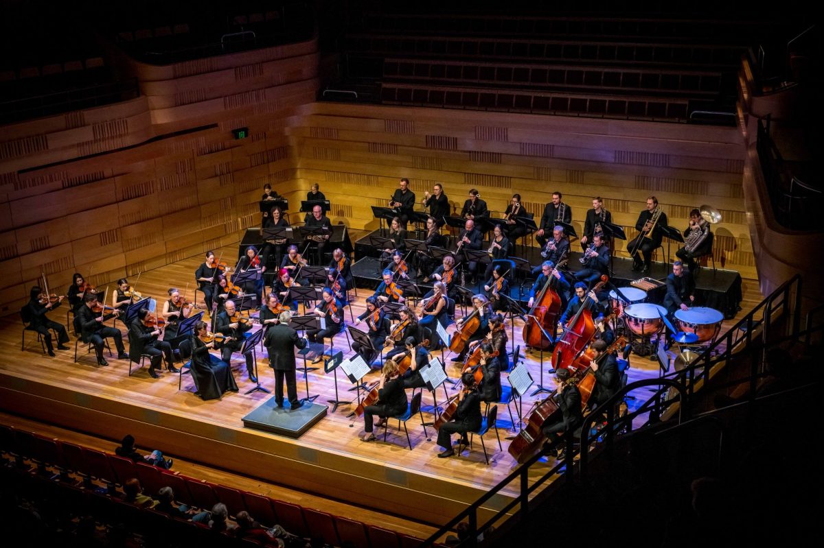 Willoughby Symphony Orchestra. Photo: Keith McInnes.