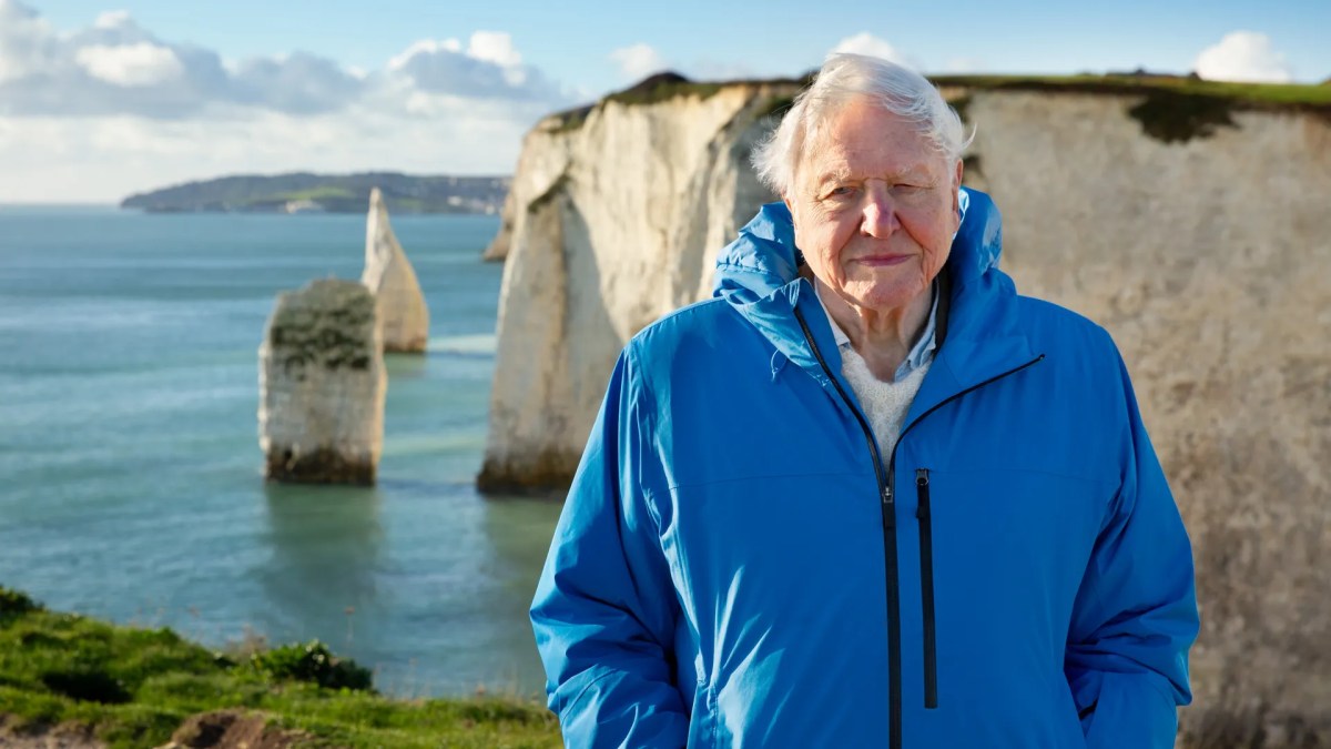 Ocean with David Attenborough. Photo: Keith Scholey.