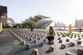 Ai Weiwei, Mushrooms, installation view. Photo: Anna Kucera / MCA Australia.
