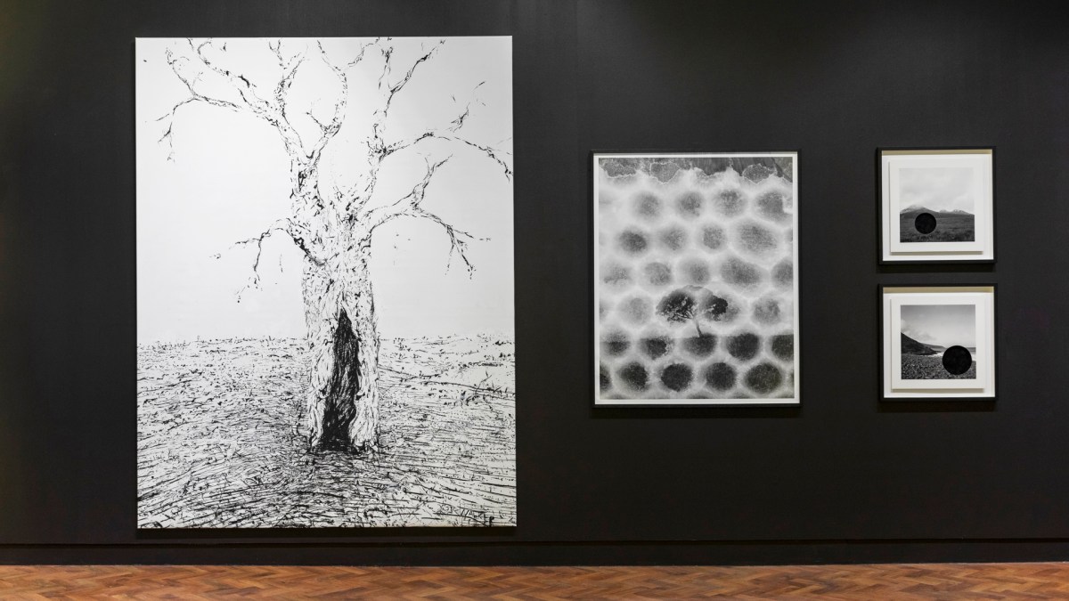 John R Walker, Scar, 2025; Sammy Hawker, Honeycomb #3, 2023; James Tylor, (Erased Scenes) From an Untouched Landscape #13, 2014 and Deleted Scenes From an Untouched Landscape #1, 2013. Installation view ‘Through line’ Goulburn Regional Art Gallery. Courtesy: the artists.