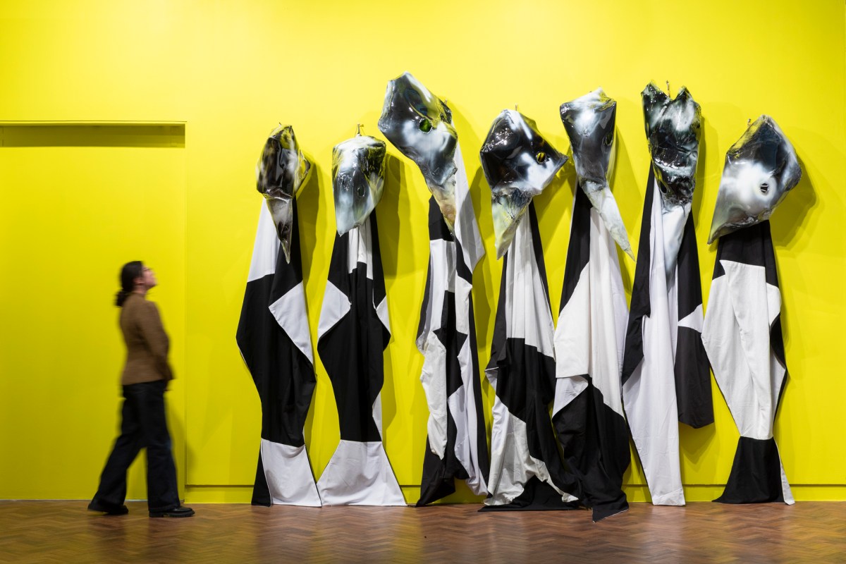 Mikala Dwyer, The Nurses, 2020. Installation view, Through line, Goulburn Regional Art Gallery. Donated through the Australian Government's Cultural Gifts Program. Photo: Silversalt Photography. Courtesy the artist and Roslyn Oxley9 Gallery.