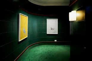 Aster + Asha Gallery exhibition of Anna Richardson's work. A darkened bright green hallway space showing two frmaed artworks on the wall under spotlights.
