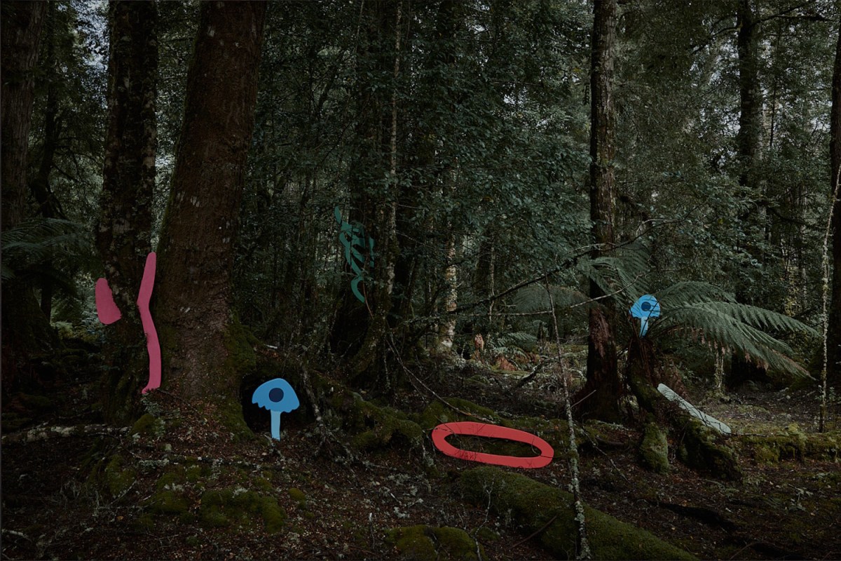 David Booth and Kristoffer Paulsen, Tarkayna Forest Face. Courtesy: the artists.