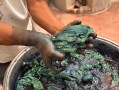 Hand dyeing Indigo textiles, Oaxaca, Mexico. Photo: Gina Fairley.