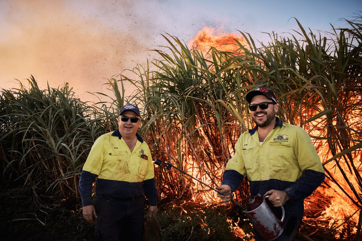 Rob Palmer, Cane Growers. Courtesy: the artist.