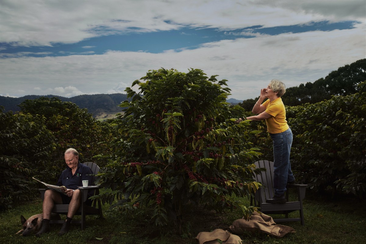 Rob Palmer, Origins Coffee. Courtesy: the artist.