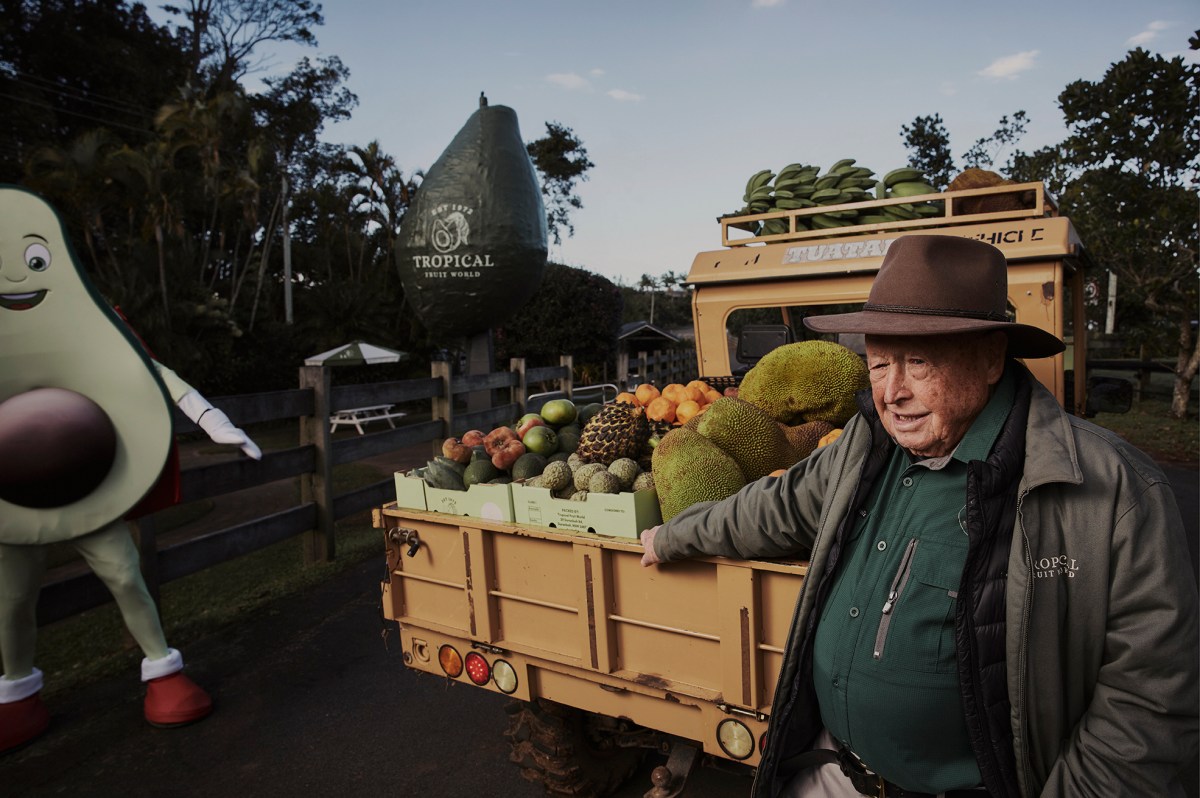Rob Palmer, Tropical Fruit World. Courtesy: the artist.